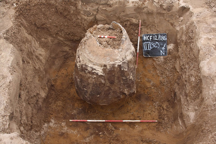 insitu