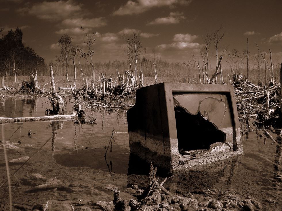 "Swamp TV" by James Good is licensed under CC BY-NC-ND 2.0