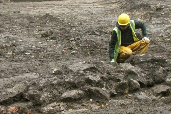 Detail of Berny McClusky on the Broad Acre Site, Image Brian Doughty