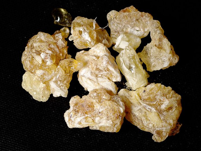 Frankincense. Image: snotch [Public domain or Public domain], via Wikimedia Commons