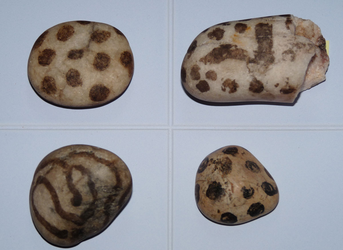 Painted pebbles clockwise from top left: Sandsound; Upper Scalloway; Balta; and Clickhimin (© Shetland Museum and Archives).