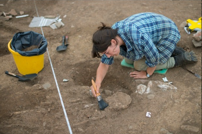 A skeleton at Ipplepen being excavated by MA archaeology student from the University of Exeter Read more: http://www.westernmorningnews.co.uk/skeletons-major-Romano-British-settlement-Devon/story-25998201-detail/story.html#ixzz3RKsooqsw Follow us: @WMNNews on Twitter | westernmorningnews on Facebook