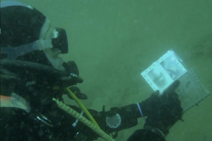 Divers using the Iona II underwater guides, by Richard Holden (Severnside Sub Aqua Club)