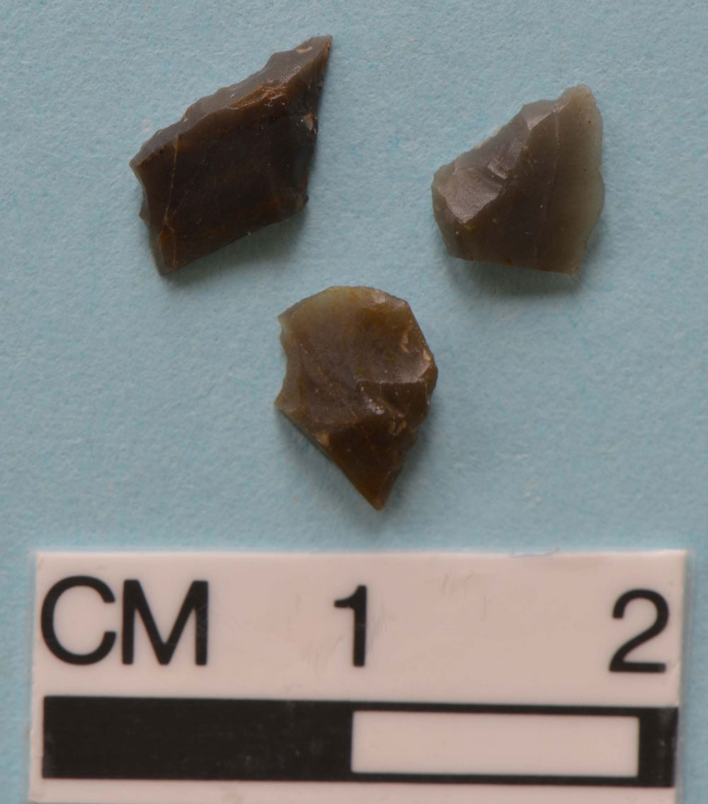 Top row: scalene triangles; bottom row: proximal microburin © GUARD Archaeology Ltd