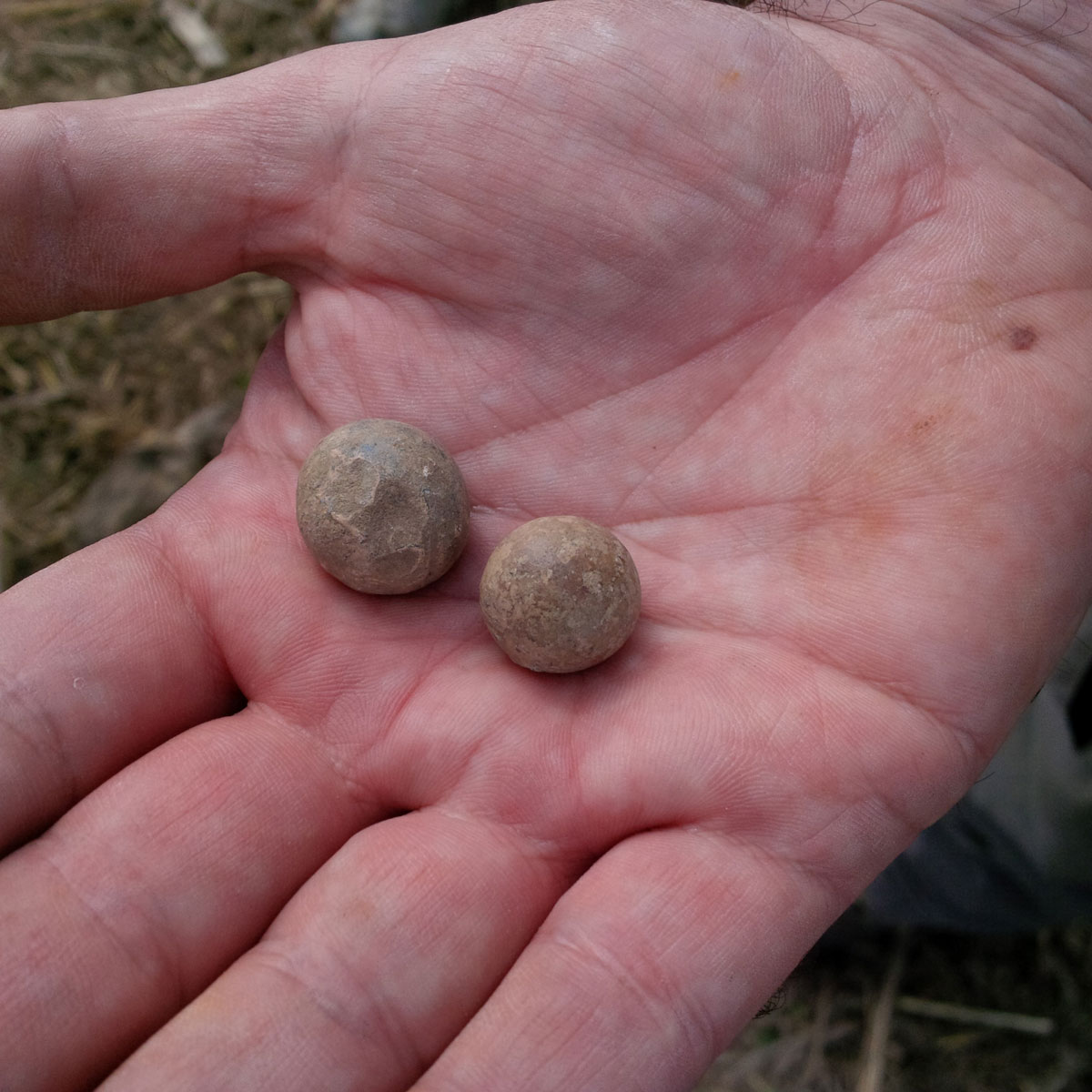 Musket balls (left: British and right: French)