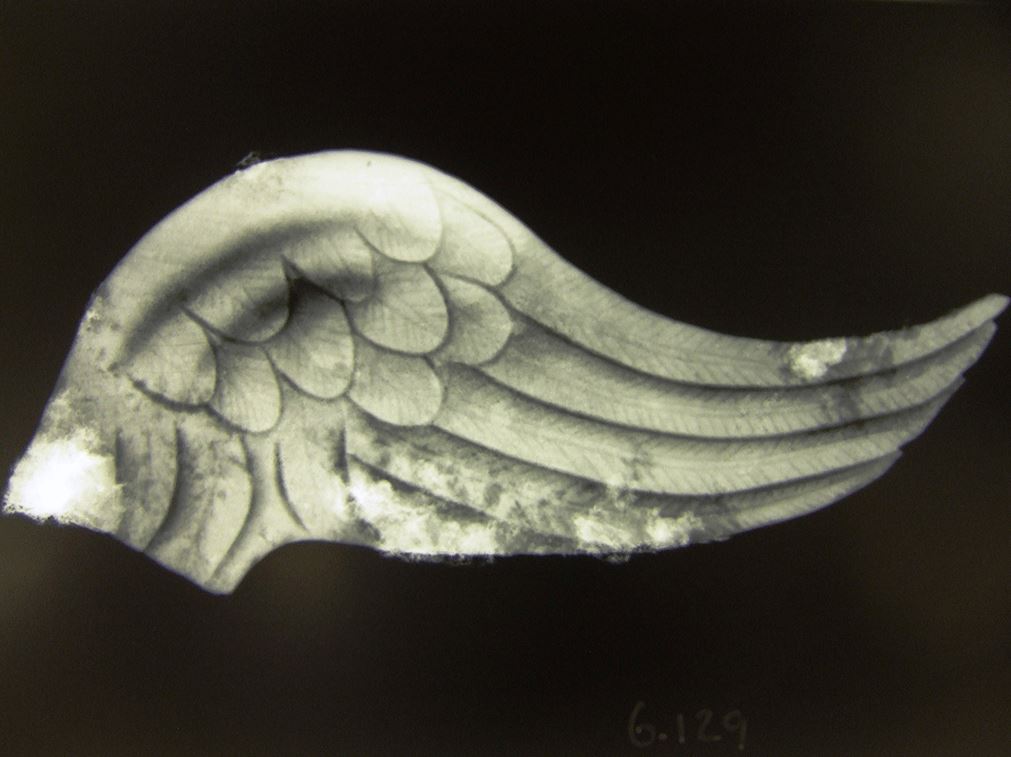 An X-ray shows the fine depictions of plumage and feathers. Image: Cotswold Archaeology