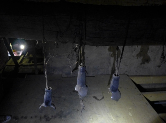 Staff from Heritage Lincolnshire made a strange discovery in the roof of the Old King’s Head.