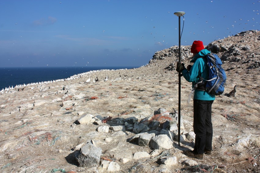 Royal Commission staff surveying on the remote Grassholm Island in 2016, which is owned and managed by the RSPB. No public landing is permitted on this highly protected nature reserve.