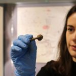 Rebecca Sampson of YAT installing artefacts for the new YourDIG exhibition