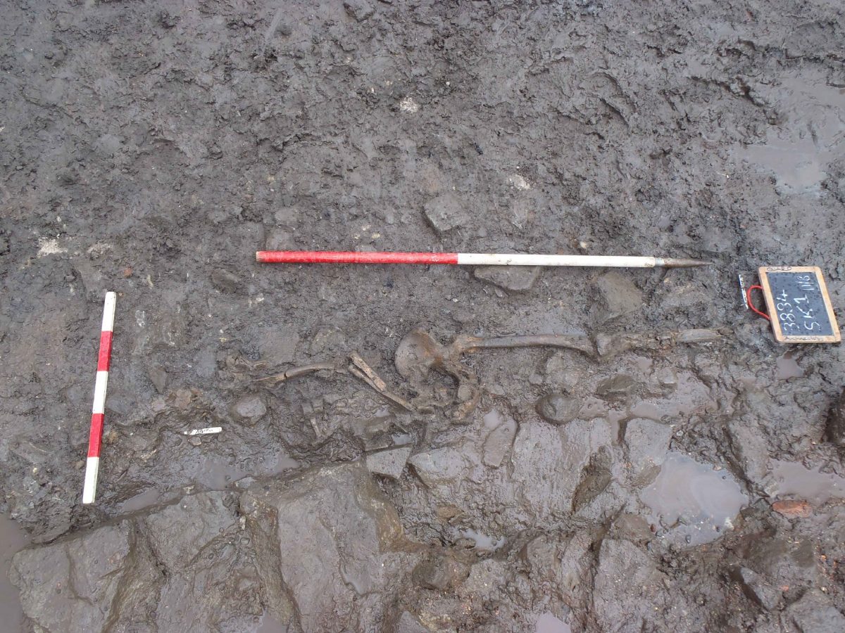 Excavation of the skeleton of the friar buried at Stirling’s Dominican Friary © GUARD Archaeology Ltd