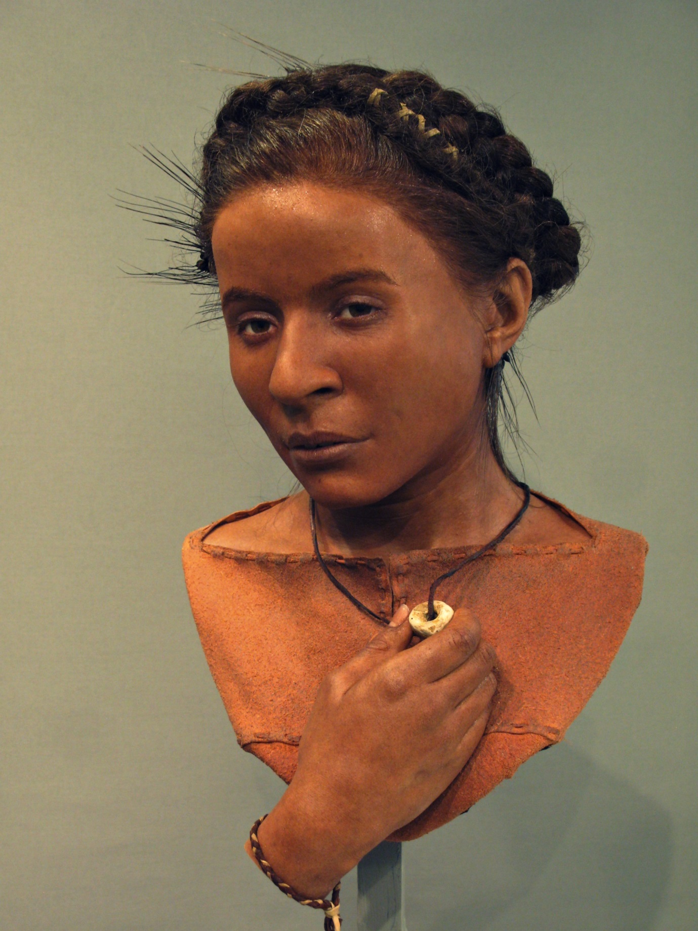 Reconstruction bust of Whitehawk Neolithic Woman